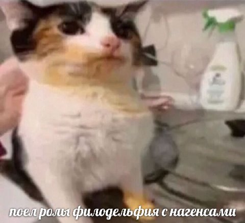 noea ролы филодельфия с нагенсами