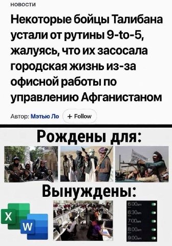 НОВОСТИ Некоторые бойцы Талибана устали от рутины 9-to-5, жалуясь, что засосала городская жизнь из-за офисной работы по управлению Афганистаном Автор: Мэтью Follow Рождены для: Вынуждены: