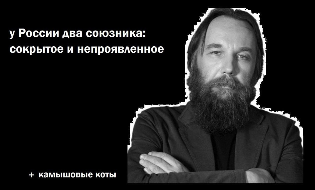 у России два союзника: сокрытое и непроявленное камышовые коты