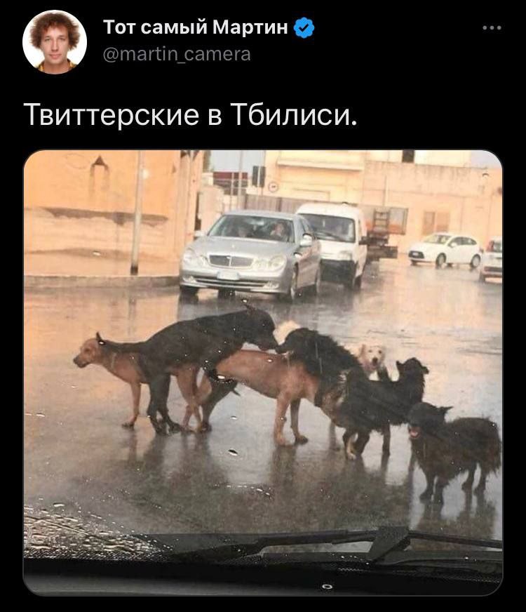 Тот самый Мартин Твиттерские в Тбилиси.