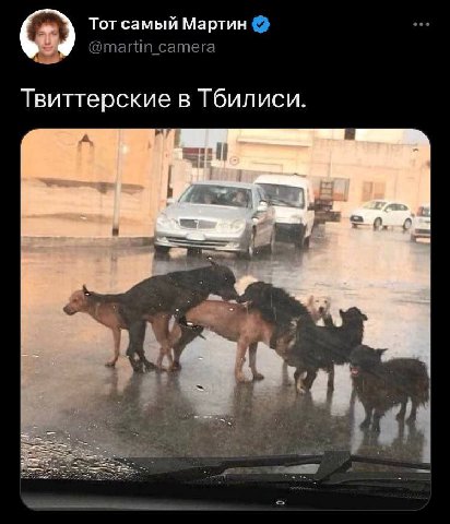 Тот самый Мартин Твиттерские в Тбилиси.