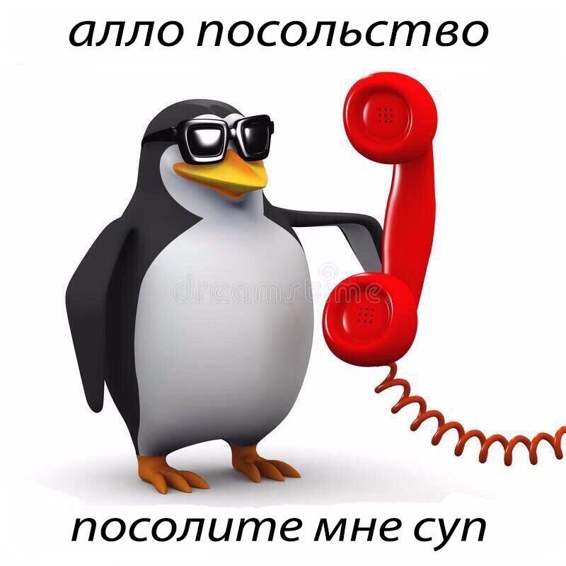 алло посольство посолите мне суп