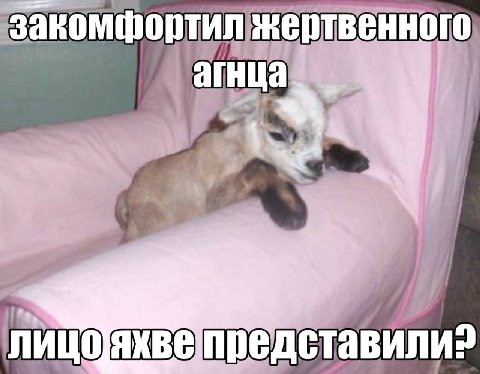 жертвенного Dew a if яхвепредставили?