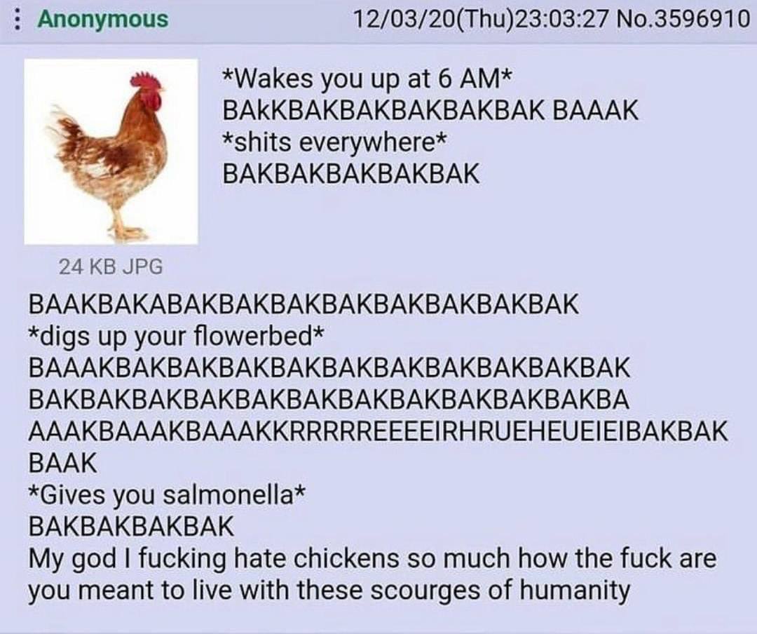 Anonymous 12/03/20(Thu)23:03:27 No.3596910 *Wakes you up at 6 ВАККВАКВАКВАКВАКВАК BAAAK *shits everywhere* ВАКВАКВАКВАКВАК 24 JPG BAAKBAKABAKBAKBAKBAKBAKBAKBAKBAK *digs up your flowerbed* BAAAKBAKBAKB