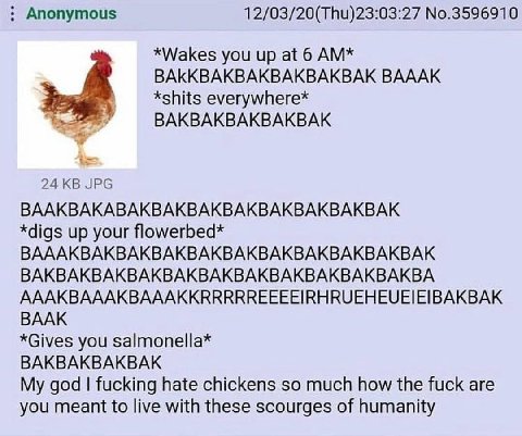 Anonymous 12/03/20(Thu)23:03:27 No.3596910 *Wakes you up at 6 ВАККВАКВАКВАКВАКВАК BAAAK *shits everywhere* ВАКВАКВАКВАКВАК 24 JPG BAAKBAKABAKBAKBAKBAKBAKBAKBAKBAK *digs up your flowerbed* BAAAKBAKBAKB