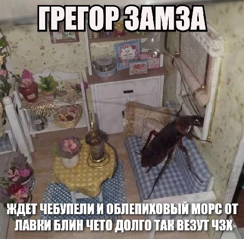 ГРЕГОР ЗАМ ЖДЕТ ЧЕБУПЕЛИ И ОБЛЕПИХОВЫЙ МОРС ЛАВКИ БЛИН ЧЕТО ДОЛГО ТАК ВЕЗУТ ЧЗХ