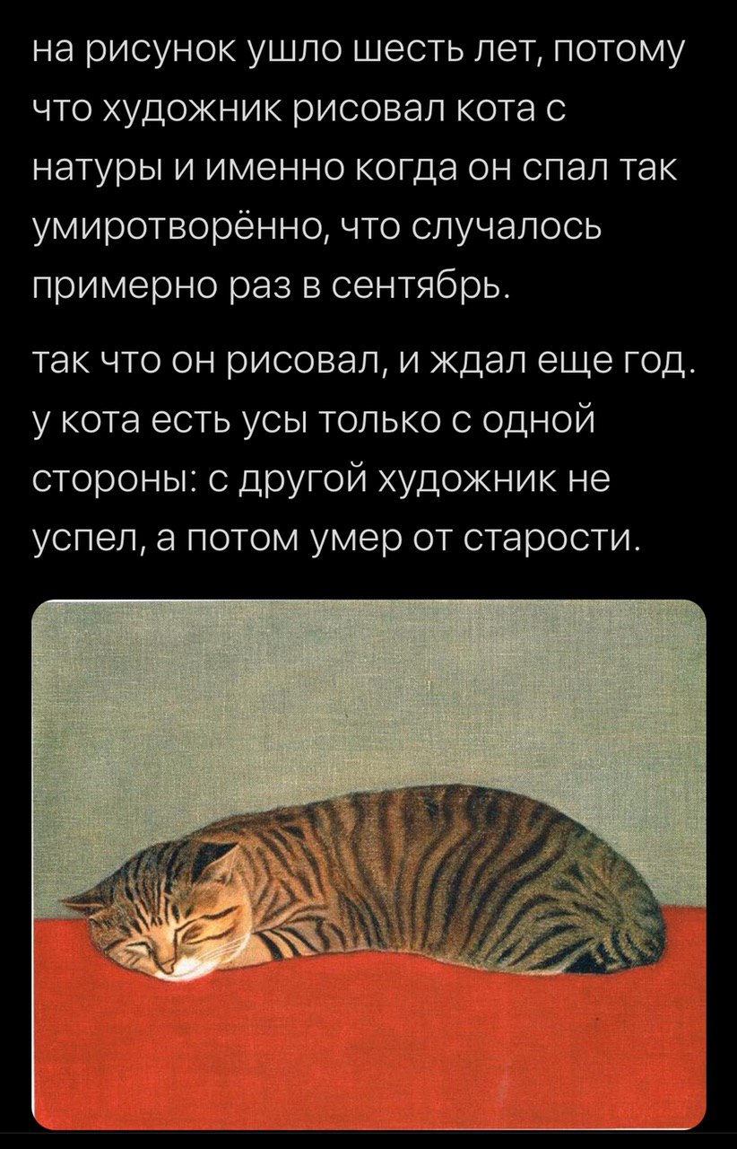 на рисунок ушло шесть лет, потому что художник рисовал кота с натуры и именно когда он спал так умиротворенно, что случалось примерно раз в сентябрь. так что он рисовал, и ждал еще год. у кота есть ус