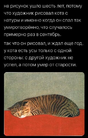 на рисунок ушло шесть лет, потому что художник рисовал кота с натуры и именно когда он спал так умиротворенно, что случалось примерно раз в сентябрь. так что он рисовал, и ждал еще год. у кота есть ус