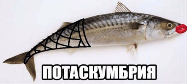 к ots к:
