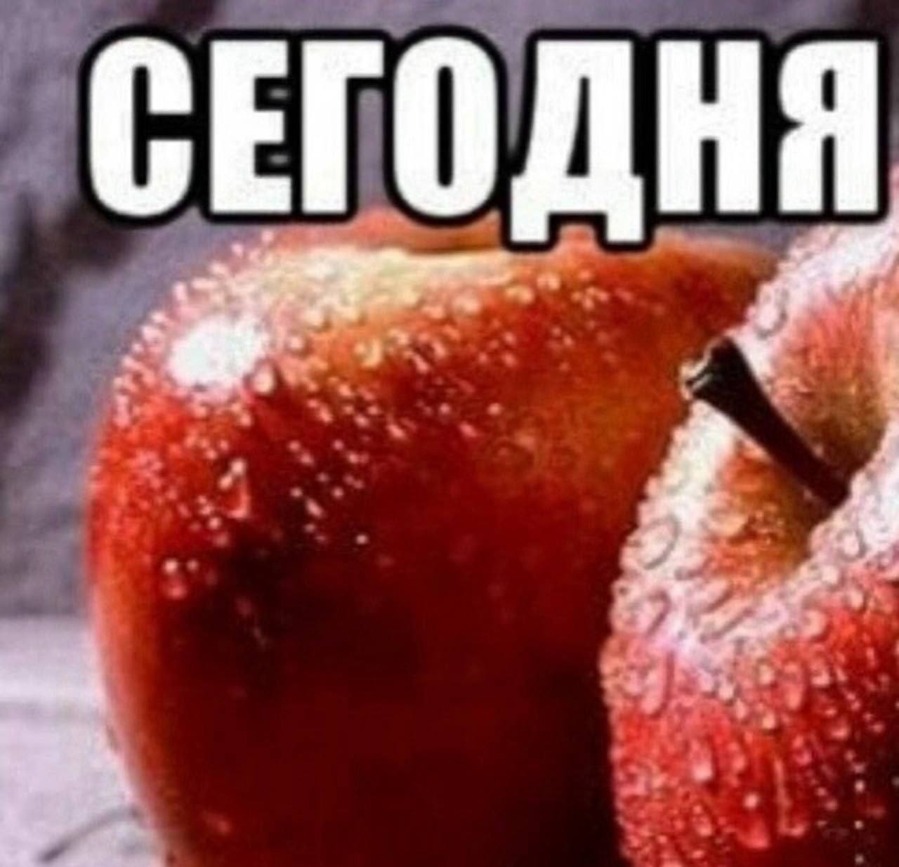СЕГОДНЯ