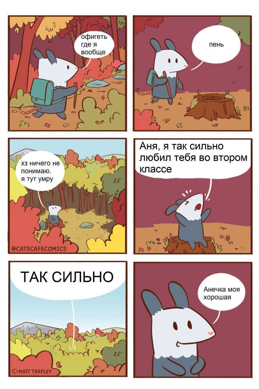 roe a вообще Аня, я так сильно ничего HE любил тебя во втором понимаю. классе я тут умру a? a ТАК СИЛЬНО Анечка моя хорошая