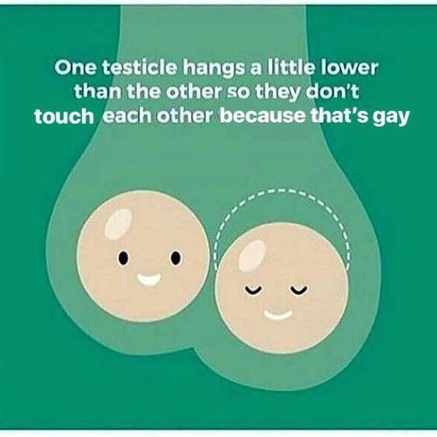 One testicle hangs а little lower than the other so they don't touch each other because that's gay