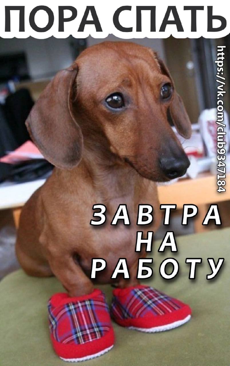 ПОРА СПАТЬ ЗАВТРА НА РАБОТУ