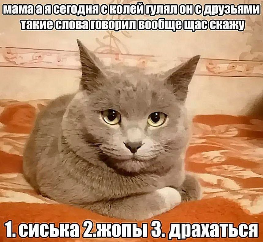 1. сиська 2.жопы 3. драхаться