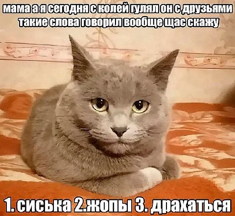 1. сиська 2.жопы 3. драхаться