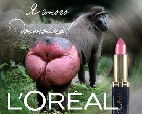 VOREAL