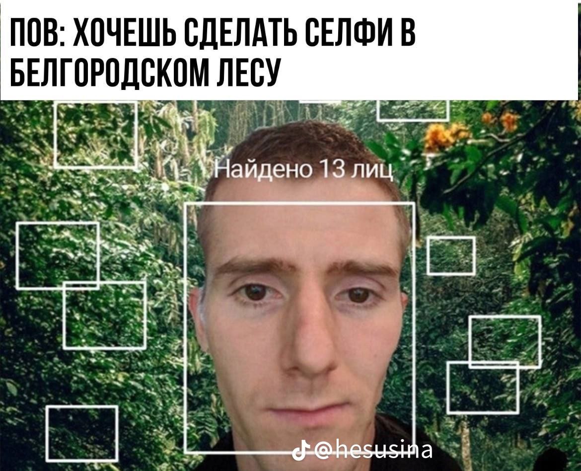 ПОВ: ХОЧЕШЬ СДЕЛАТЬ СЕЛФИ В БЕЛГОРОДСКОМ ЛЕСУ Найдено 13 лиц