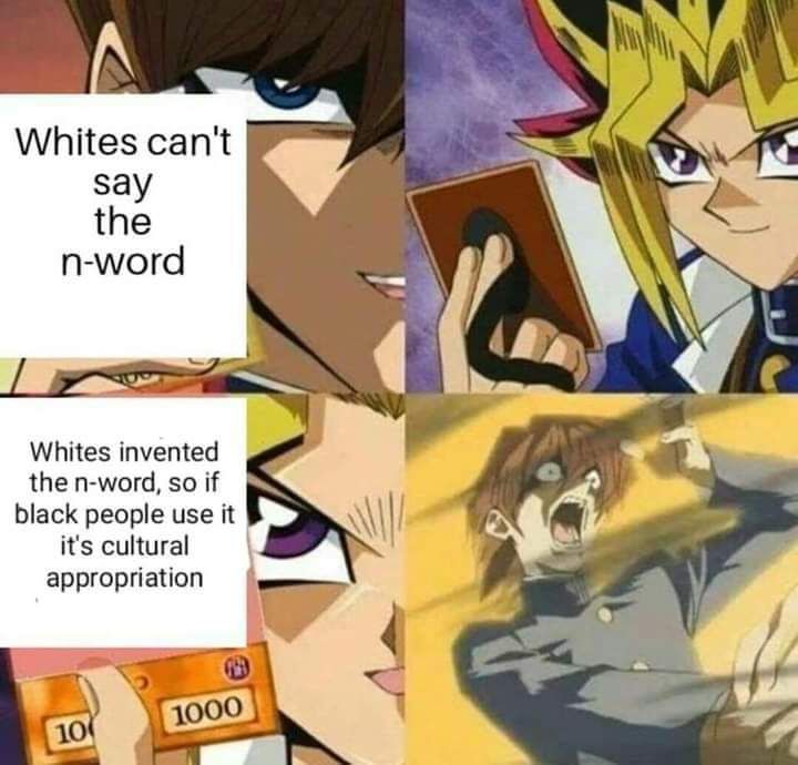 NON Whites can't say the n-word Whites invented the n-word, so if black people use it it's cultural appropriation 30