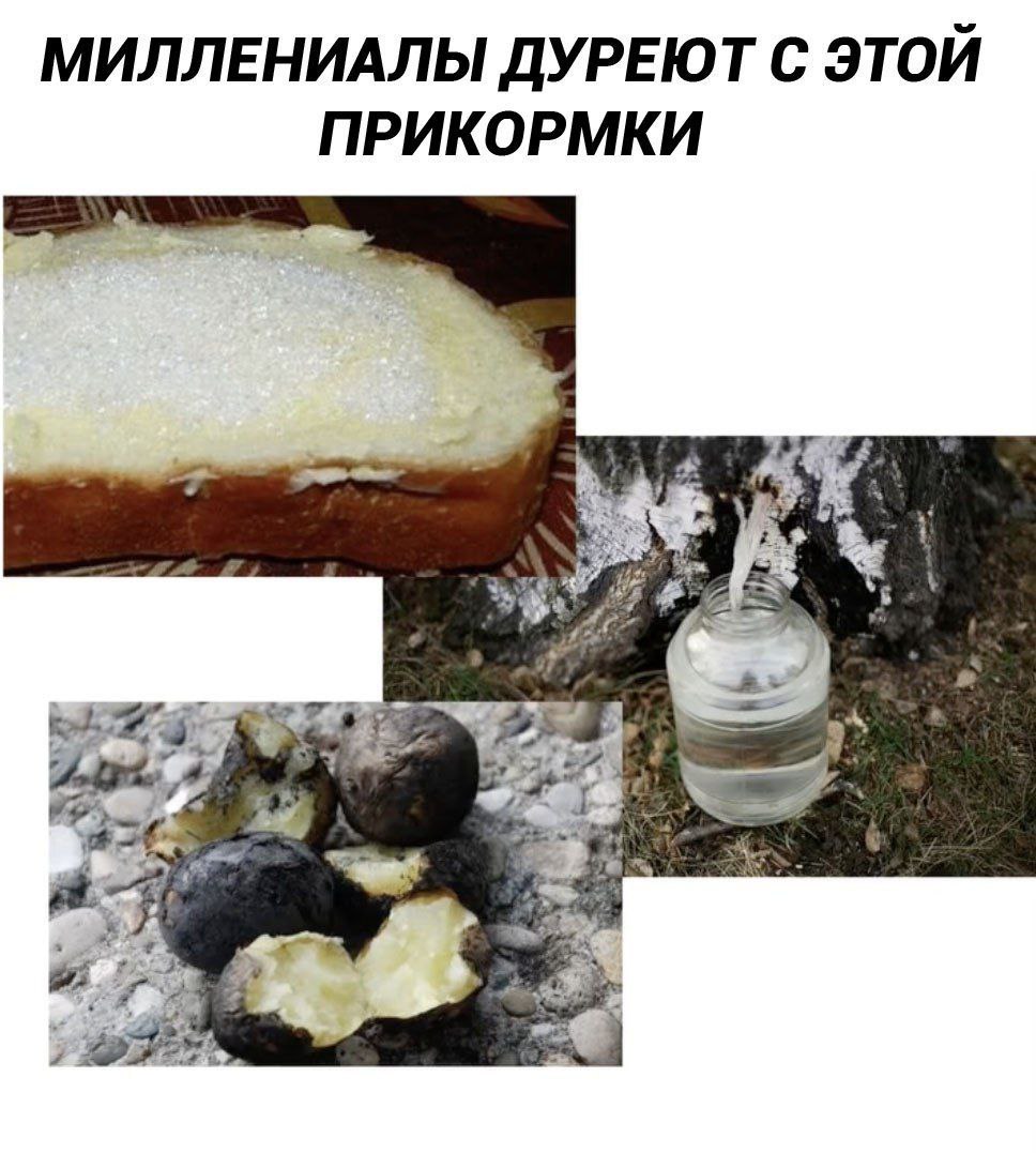МИЛЛЕНИАЛЫ ДУРЕЮТ С ЭТОЙ ПРИКОРМКИ