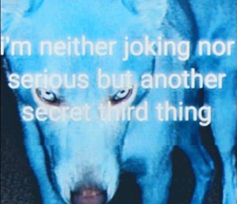 neither joking nor another thing