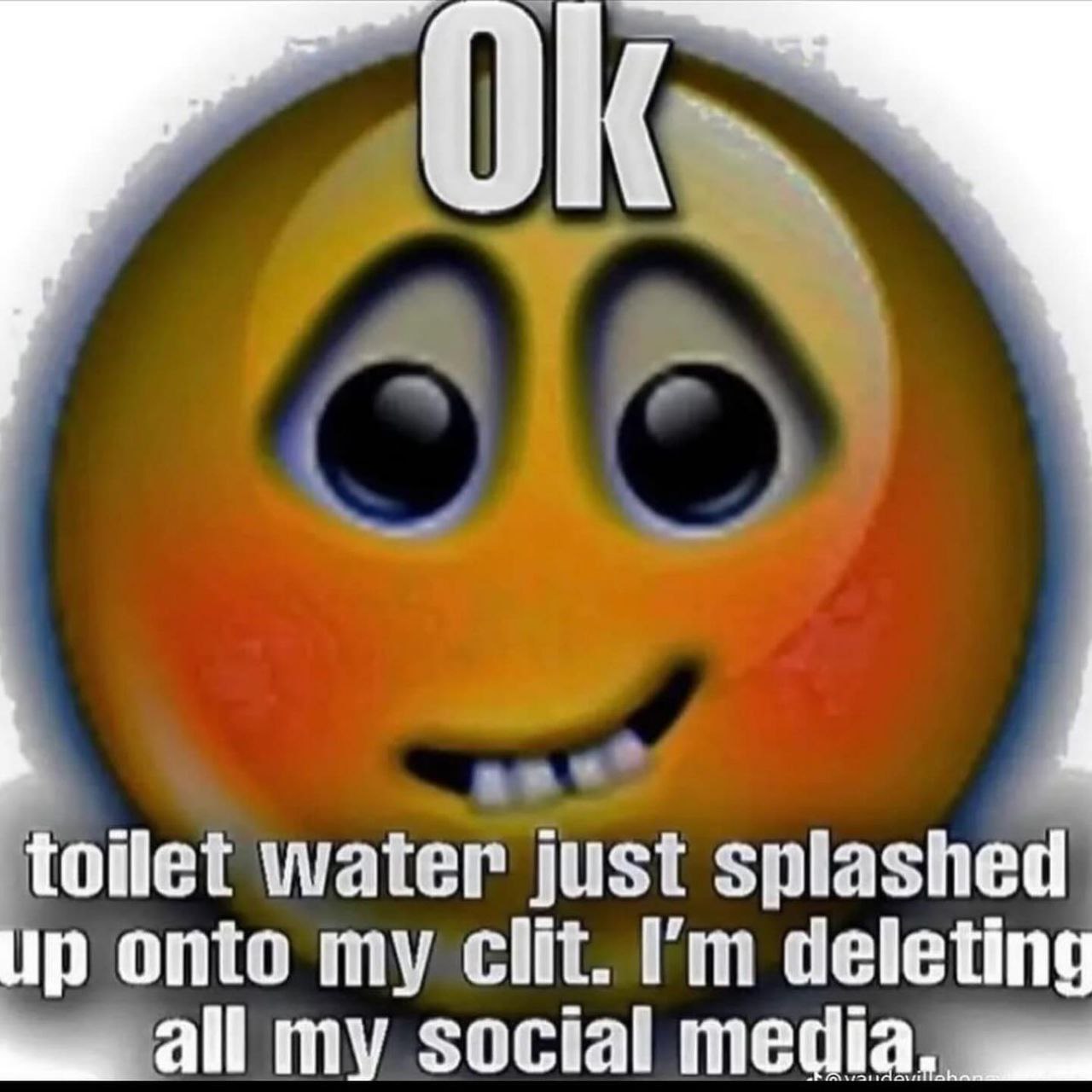 toilet water just splashed up onto my clit. deleting all my social media.