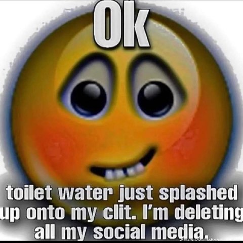 toilet water just splashed up onto my clit. deleting all my social media.