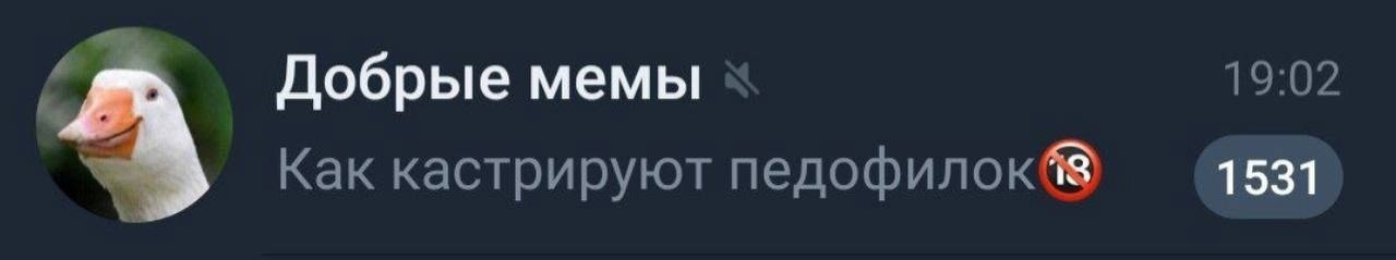 Добрые мемы 19:02 Как кастрируют педофилок@® 1531