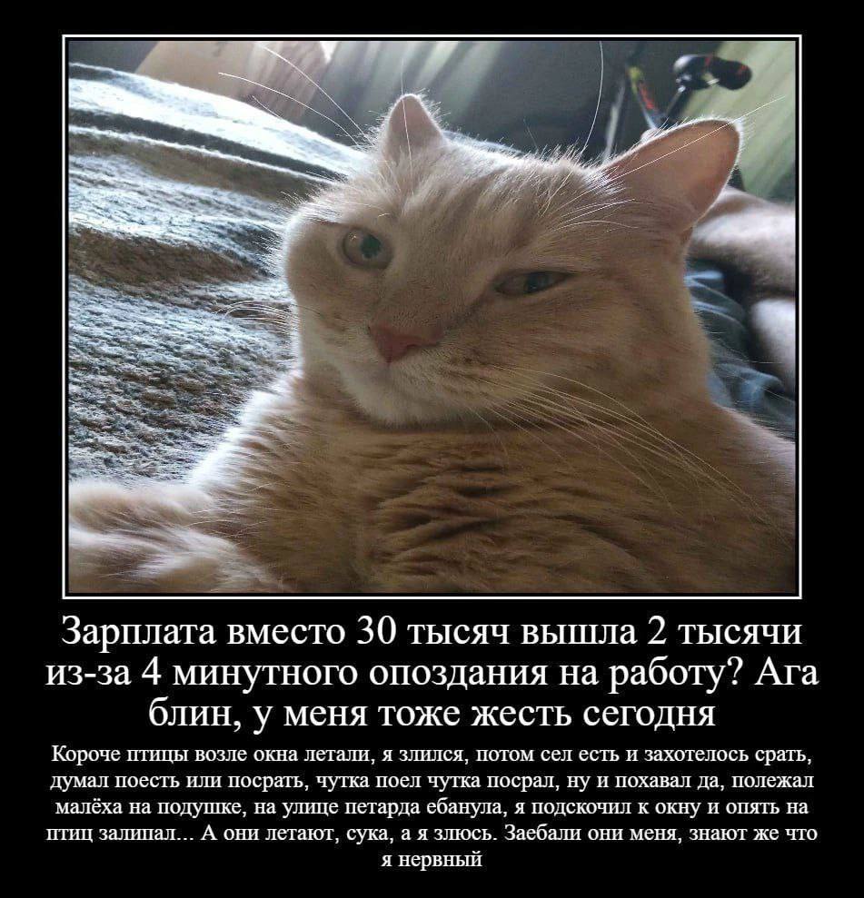 я 4 a Зарплата вместо 30 тысяч вышла 2 тысячи из-за 4 минутного опоздания на работу? Ага блин, у меня тоже жесть сегодня Короче птицы возле окна летали, я злился, потом сел есть и захотелось срать, ду