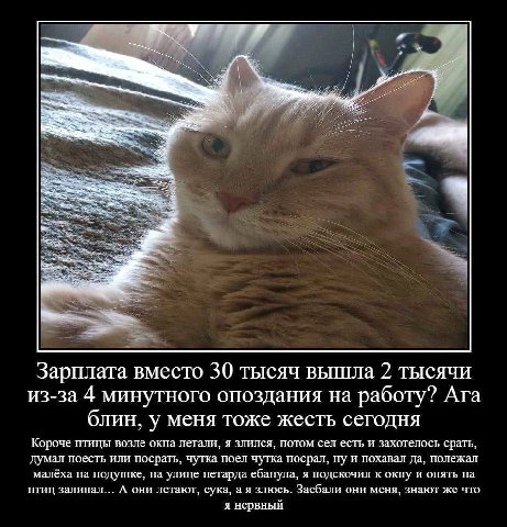 я 4 a Зарплата вместо 30 тысяч вышла 2 тысячи из-за 4 минутного опоздания на работу? Ага блин, у меня тоже жесть сегодня Короче птицы возле окна летали, я злился, потом сел есть и захотелось срать, ду