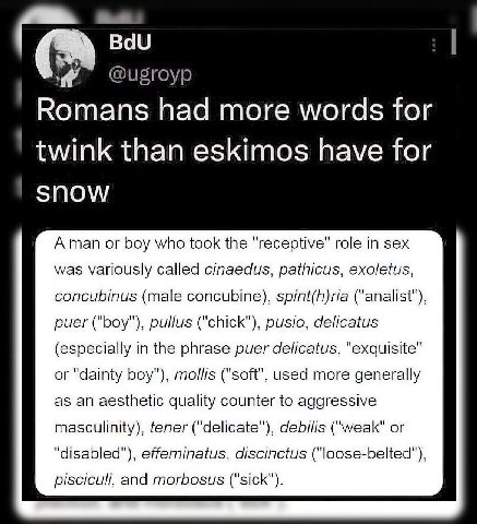 BdU ‘a @ugroyp Romans had more words for than eskimos have for $ПО\/ Aman or boy who took the "receptive" role in sex was variously called cinaedus, pathicus, concubinus (male concubine), spint(h)ria 