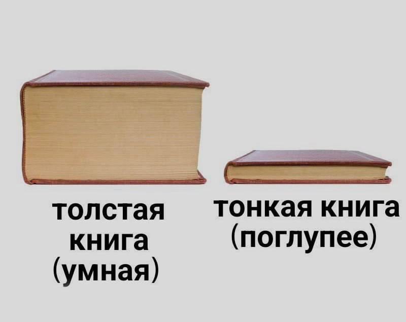 тонкая книга толстая книга (поглупее) (умная)