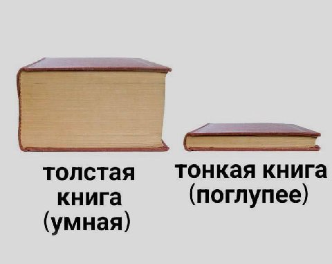 тонкая книга толстая книга (поглупее) (умная)