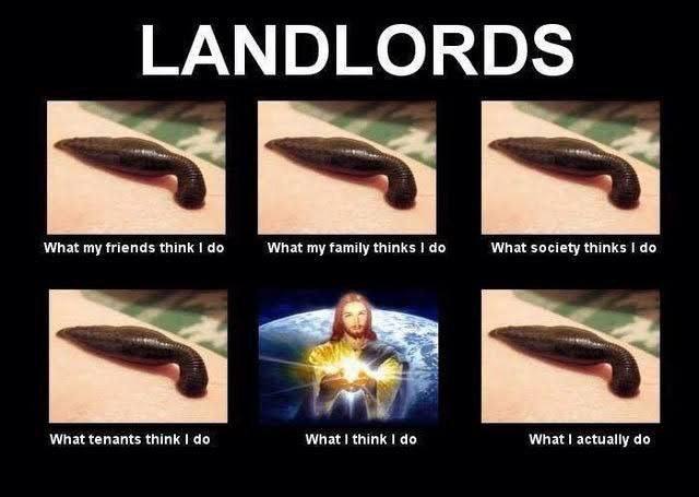 LANDLORDS What my friends think 1 What my family thinks What society thinks I What tenants think What think What actually