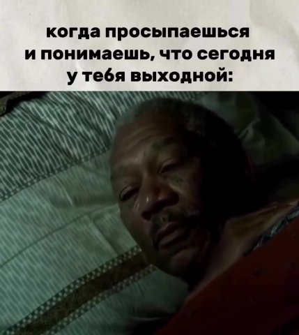 когда просыпаешься и понимаешь, что сегодня у тебя выходной: