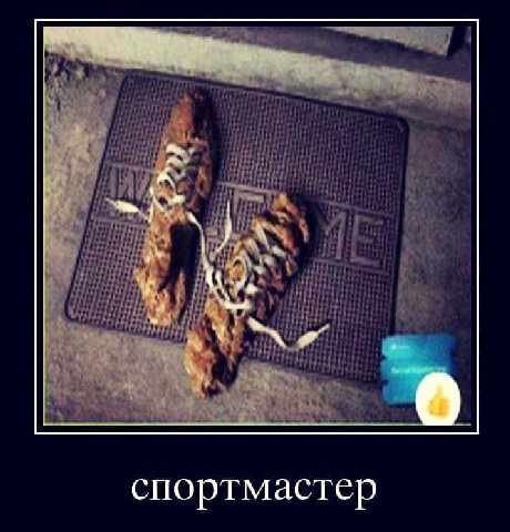 спортмастер