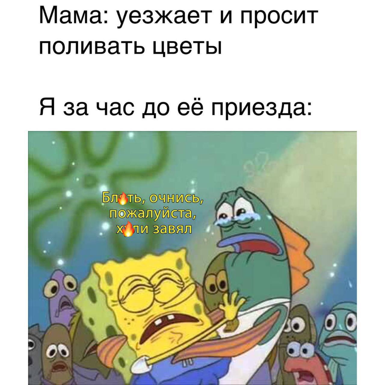 Мама: уезжает и просит поливать цветы Я за час до её приезда: пожалуйста, завял A 000 В 40