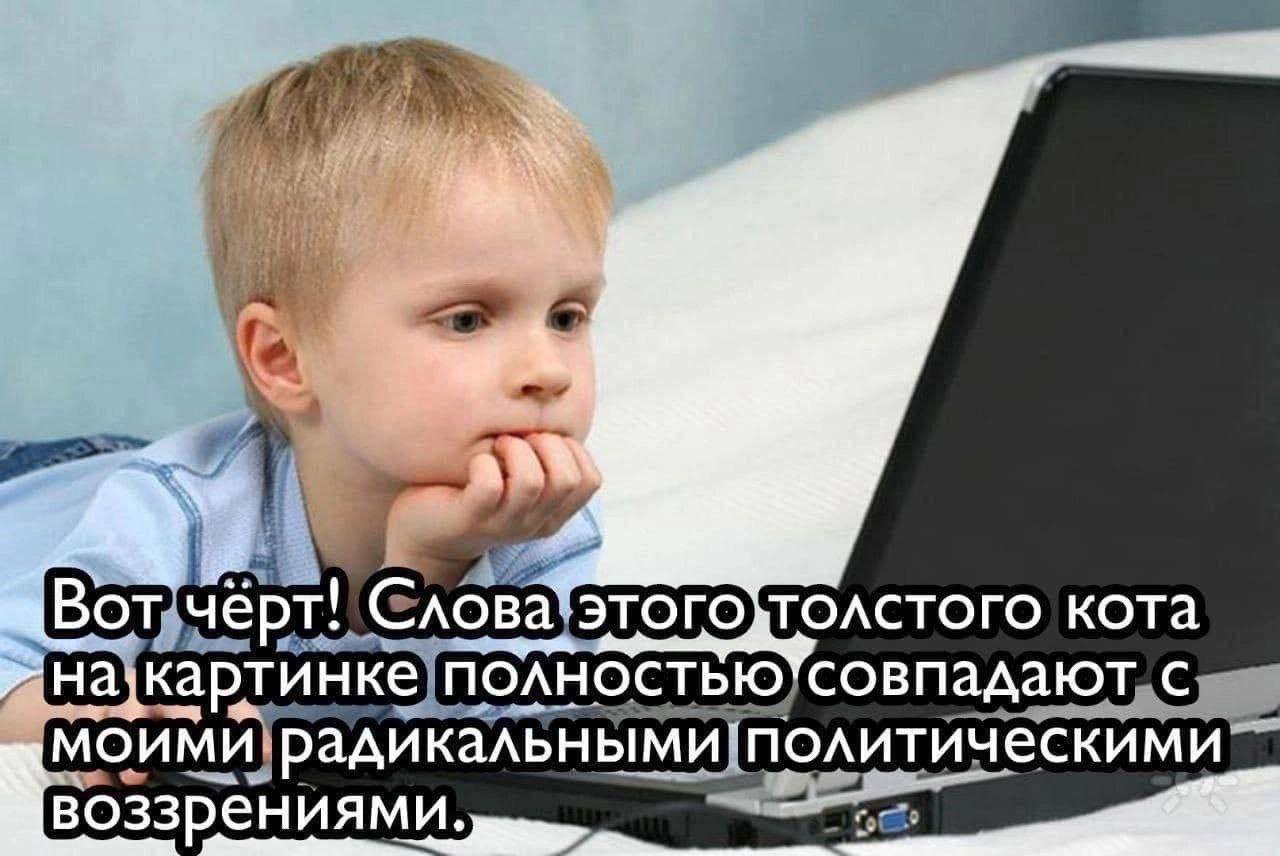 Bor чёрт! Слова“ кота ПОЛНОСТЬЮ совпадают с моими политическими воззрениями.