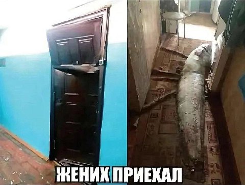 7 ПРИЕКАЛ