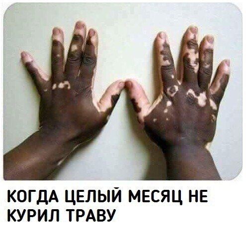 2 КОГДА ЦЕЛЫЙ МЕСЯЦ HE КУРИЛ ТРАВУ