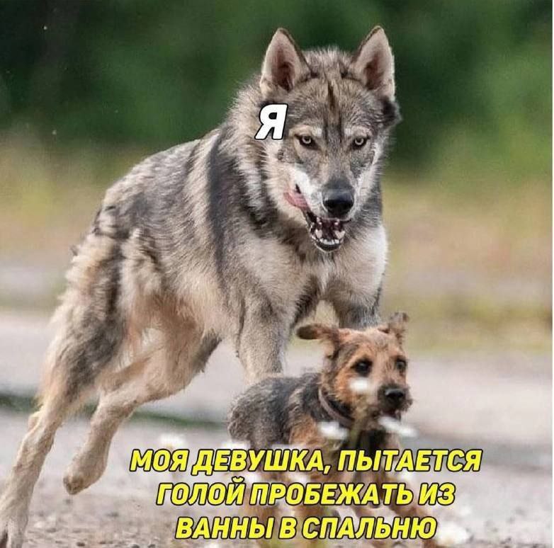 Я MOA УШКА, ПЫТАЕТСЯ ПРОБЕЖА ВАННЫ В СПАЛЬНЮ