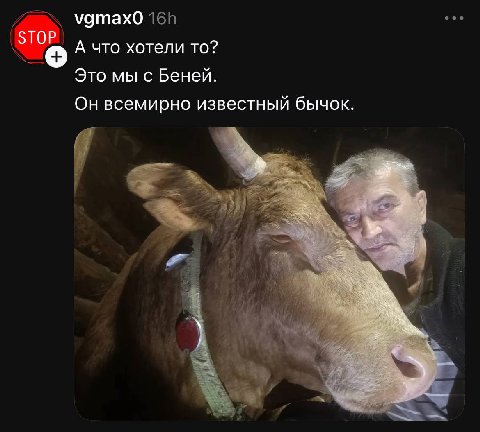 удтахо ТОР 5 А что хотели то? Это мы с Беней. Он всемирно известный бычок. 4 ‘6