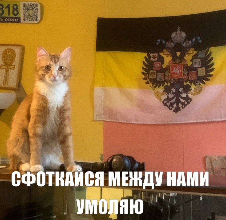МЕЖДУ НАМИ