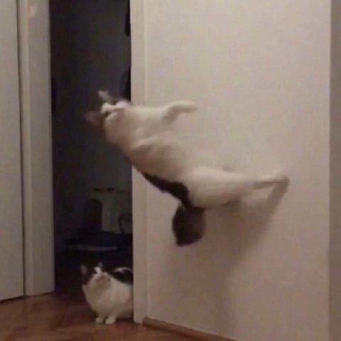 мем