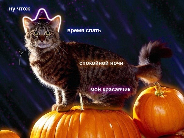 ну чтож время спать спокойной ночи мой красавчик