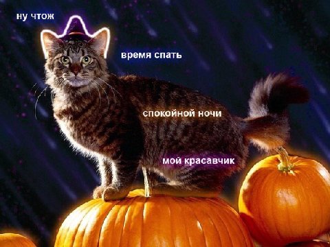 ну чтож время спать спокойной ночи мой красавчик