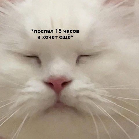 *поспал 15 часов и хочет ещё* 7 1 a и