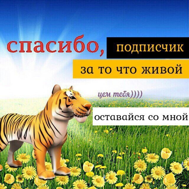 спаси 00, подписчик за то что живой цем тедя)))) оставайся мной 7