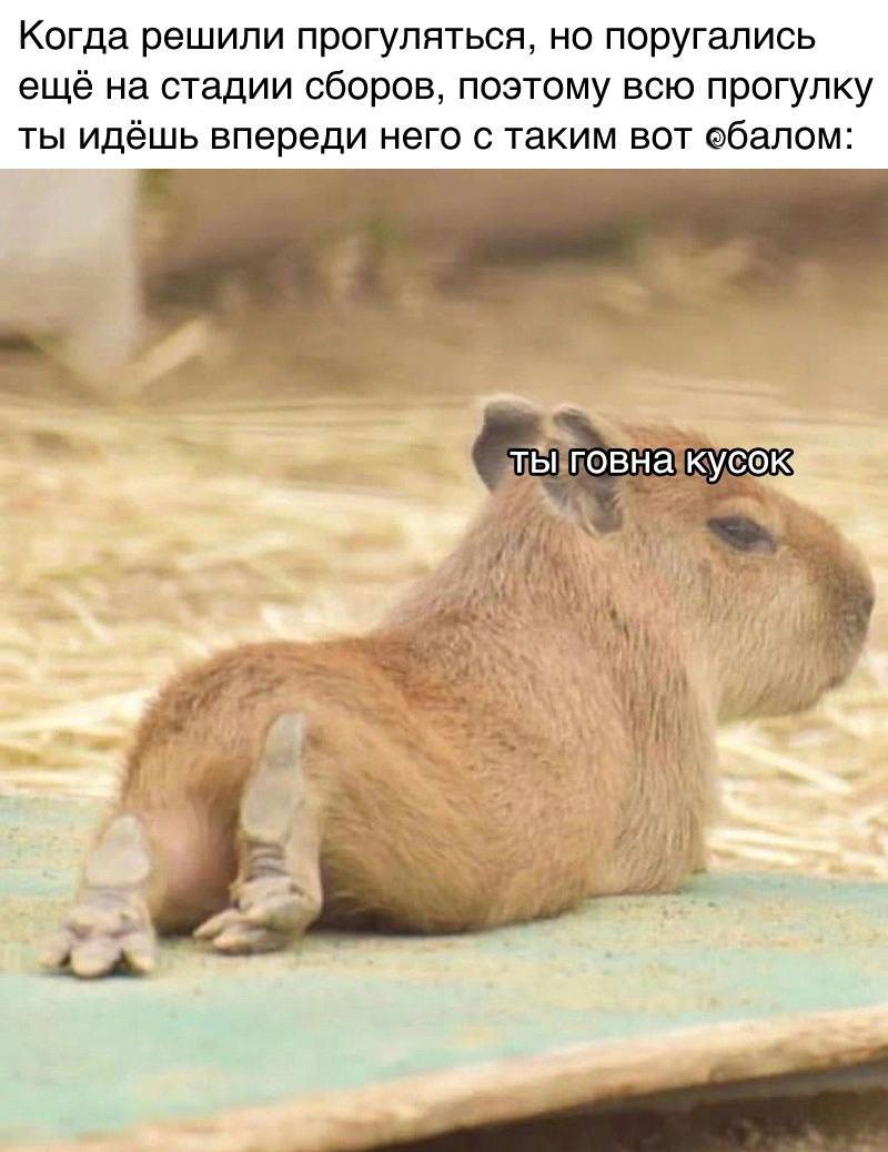 Когда решили прогуляться, но поругались на стадии сборов, поэтому всю прогулку ты идёшь впереди него с таким вот обалом: и