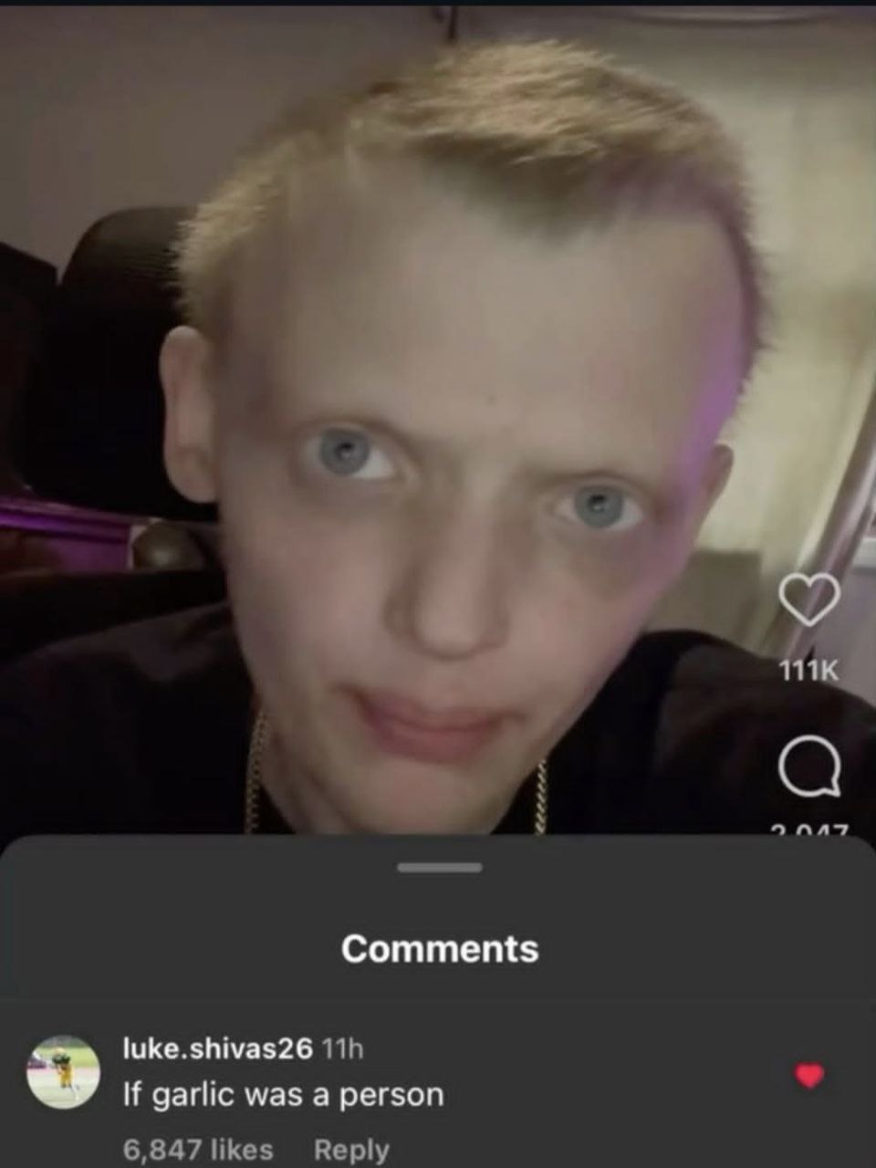 Comments luke.shivas26 If garlic was a person 6,847 likes Reply
