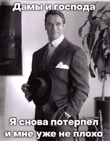 Дамы и господа Я снова потерпел и мне уже не плохо